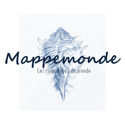 MAPPEMONDE